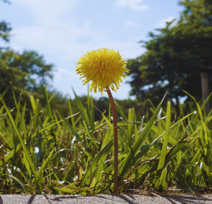 Creating a Pardot Spam Identification Process with Prospect Updater