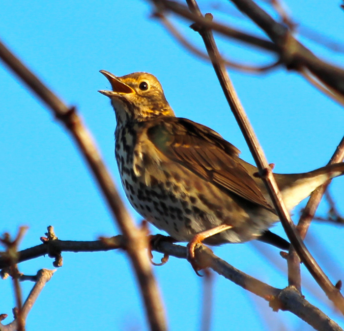 Six Big Pardot Enhancements from the Salesforce Spring ‘22 Release